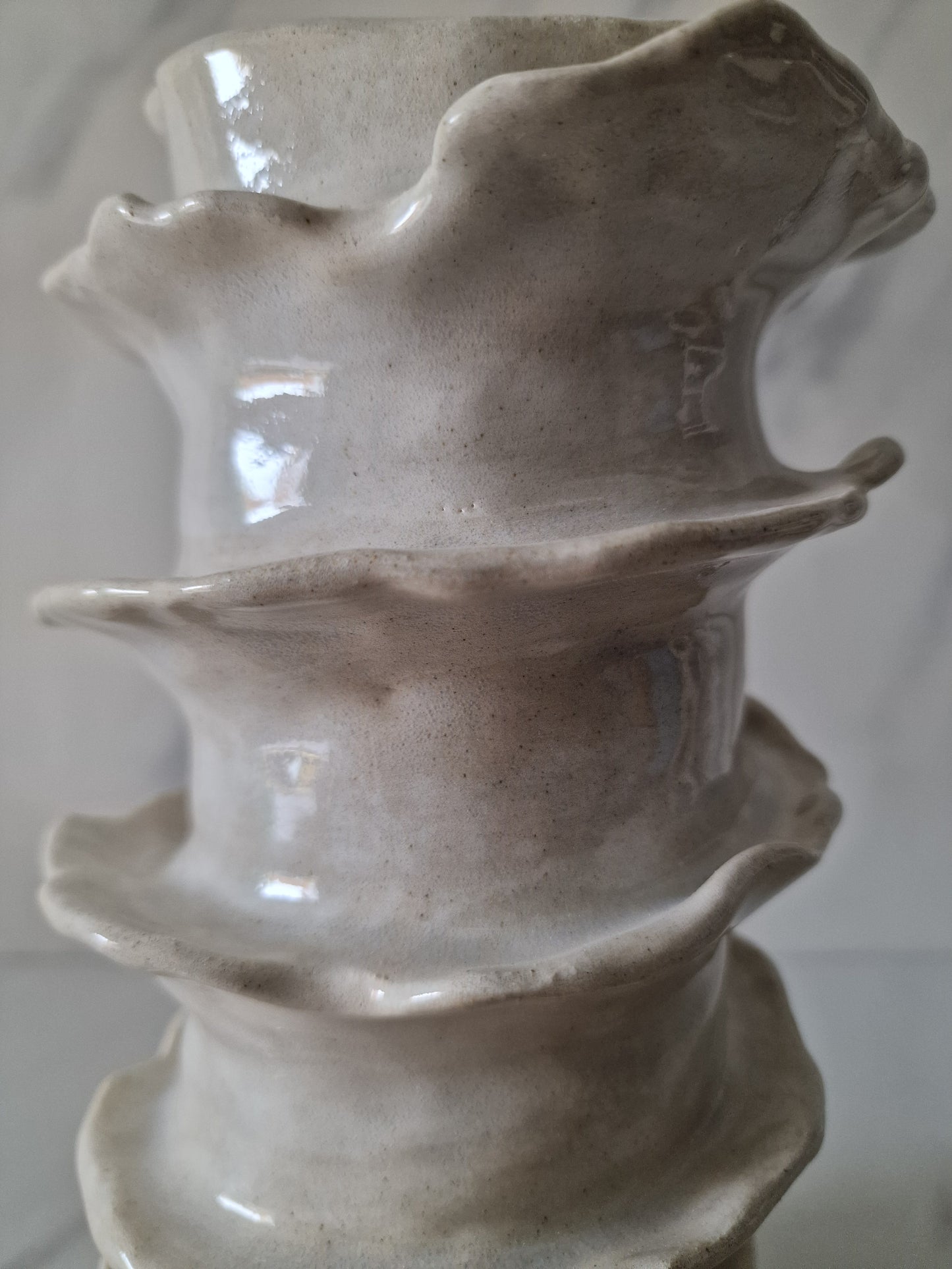Shell - vase