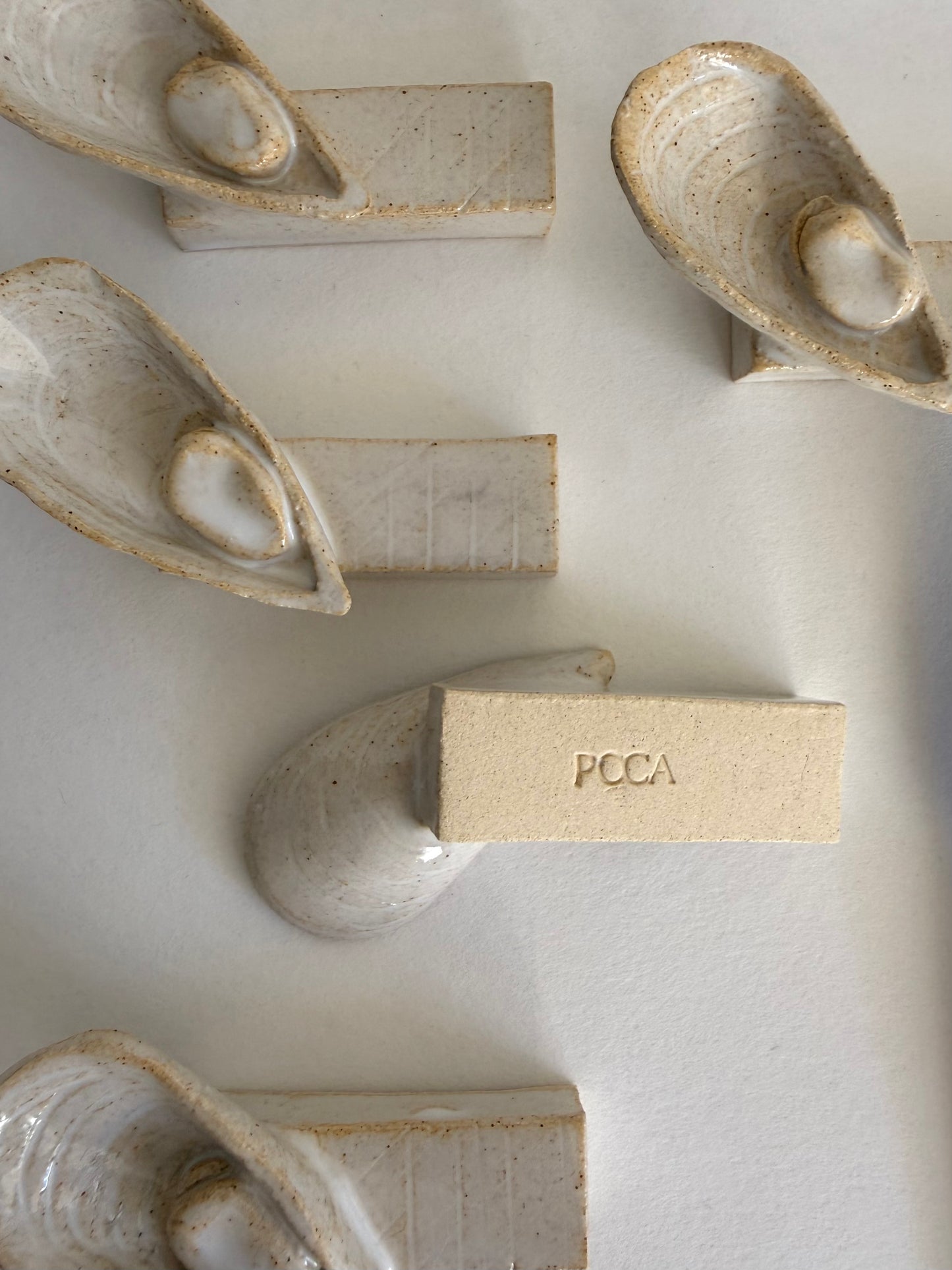 Les coquillages - porte couteaux Mytilida