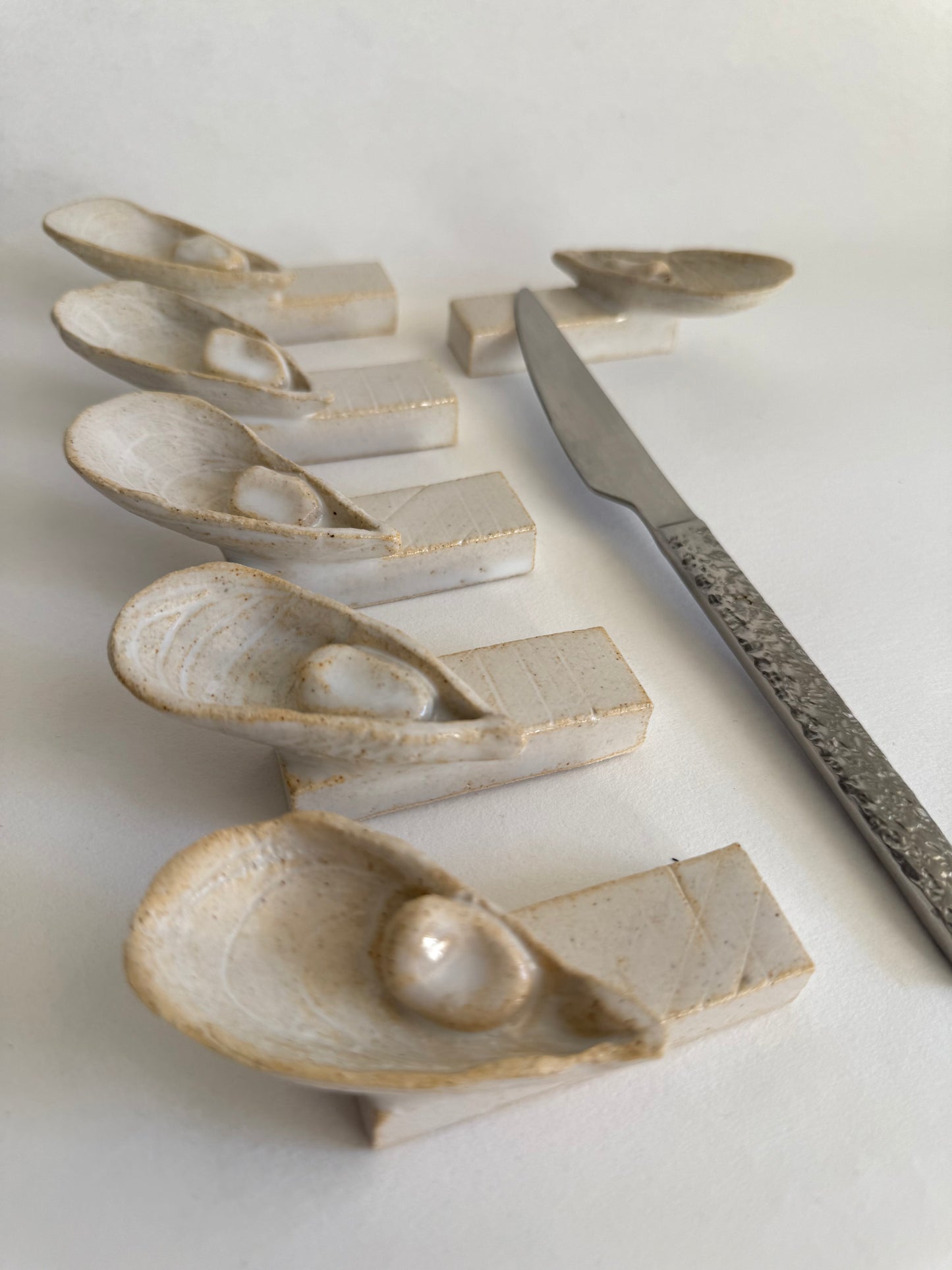 Les coquillages - porte couteaux Mytilida
