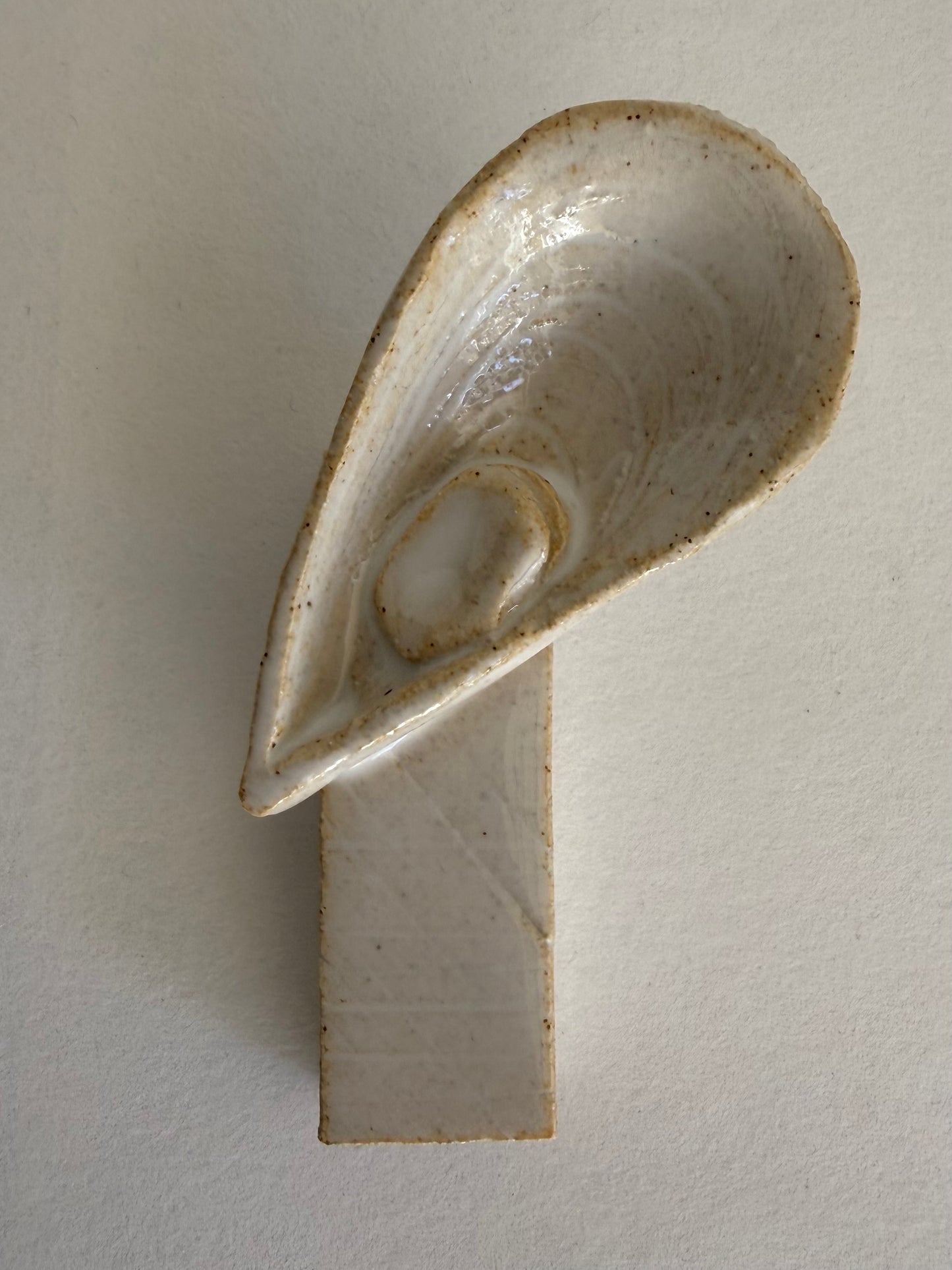 Les coquillages - porte couteaux Mytilida