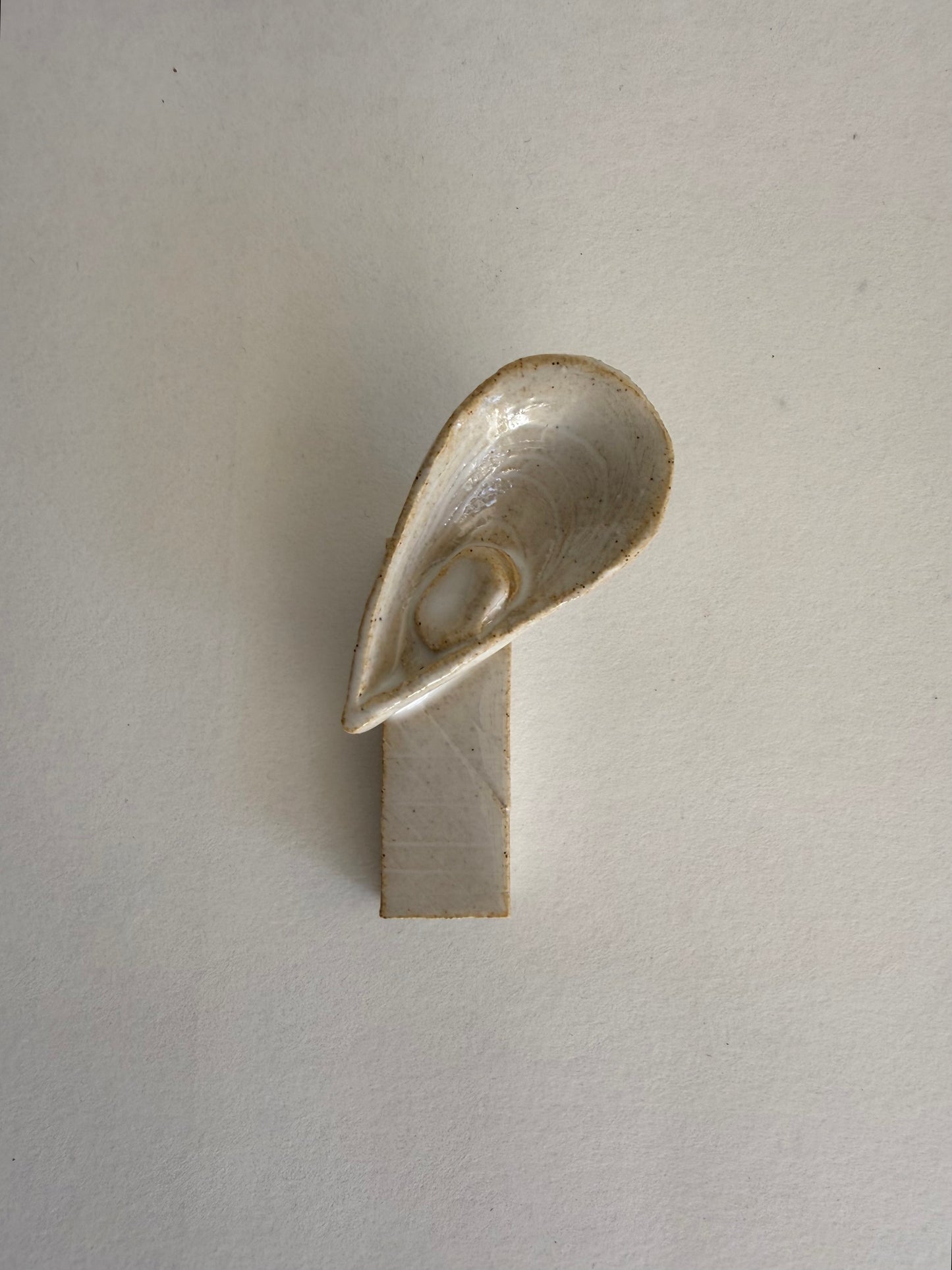 Les coquillages - porte couteaux Mytilida